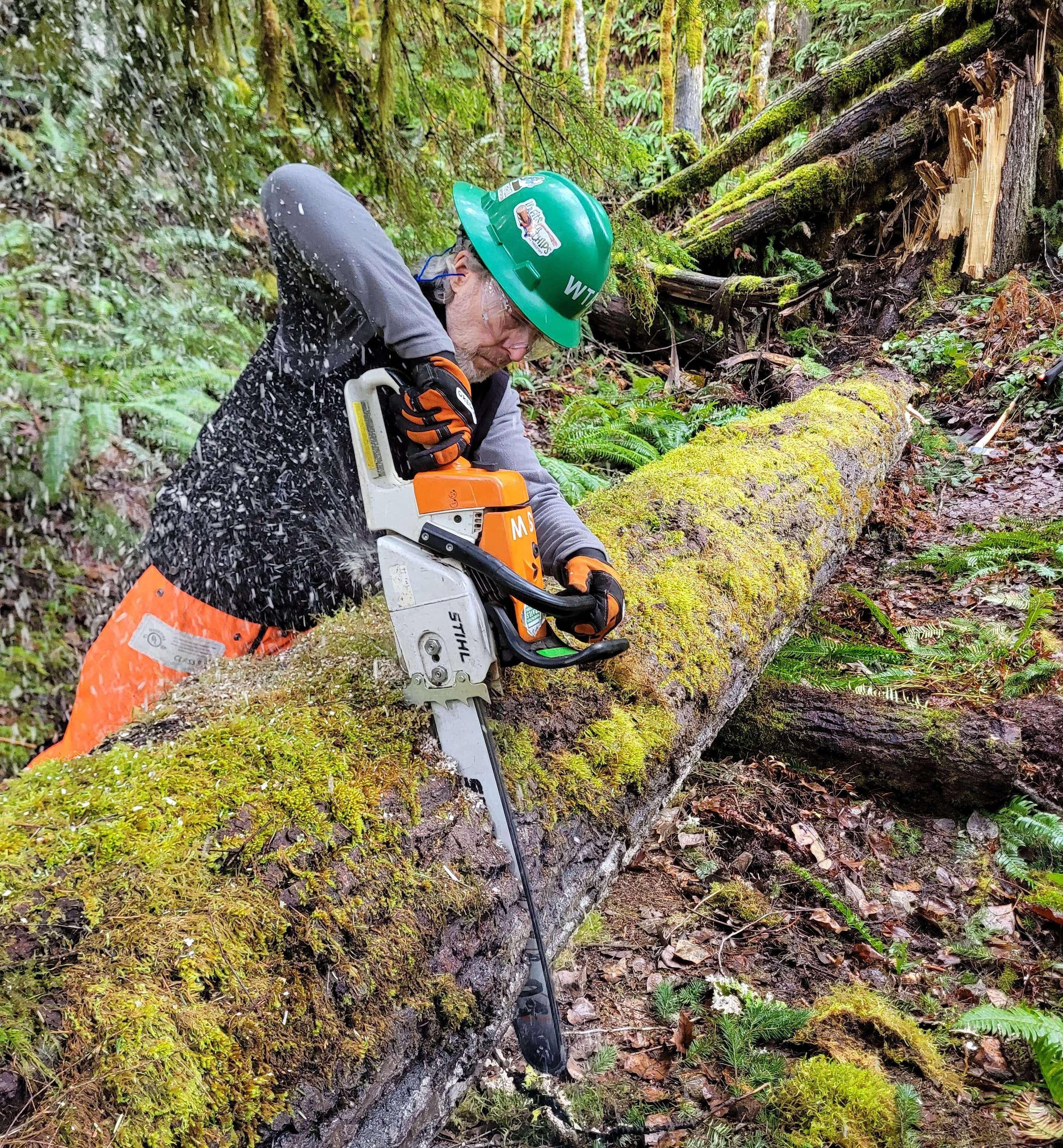 Washington Trails Association work crew examining fallen tree in the snow before they clear it. 